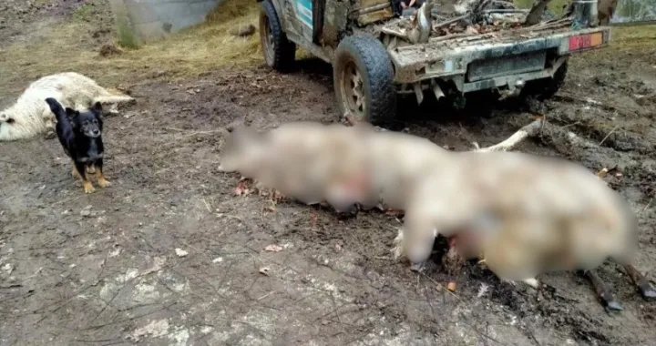 Prizor iz Prozor-Rame/Ramski Vjesnik