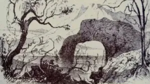 Možete li pronaći sve životinje sa ilustracije?/