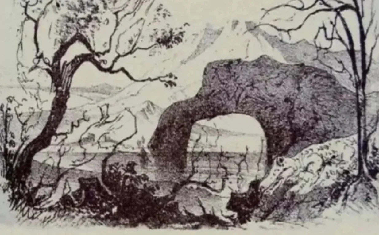 Možete li pronaći sve životinje sa ilustracije?/