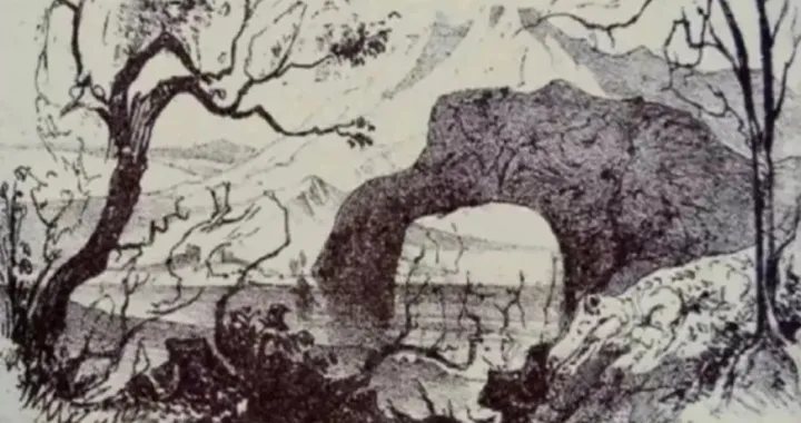 Možete li pronaći sve životinje sa ilustracije?/