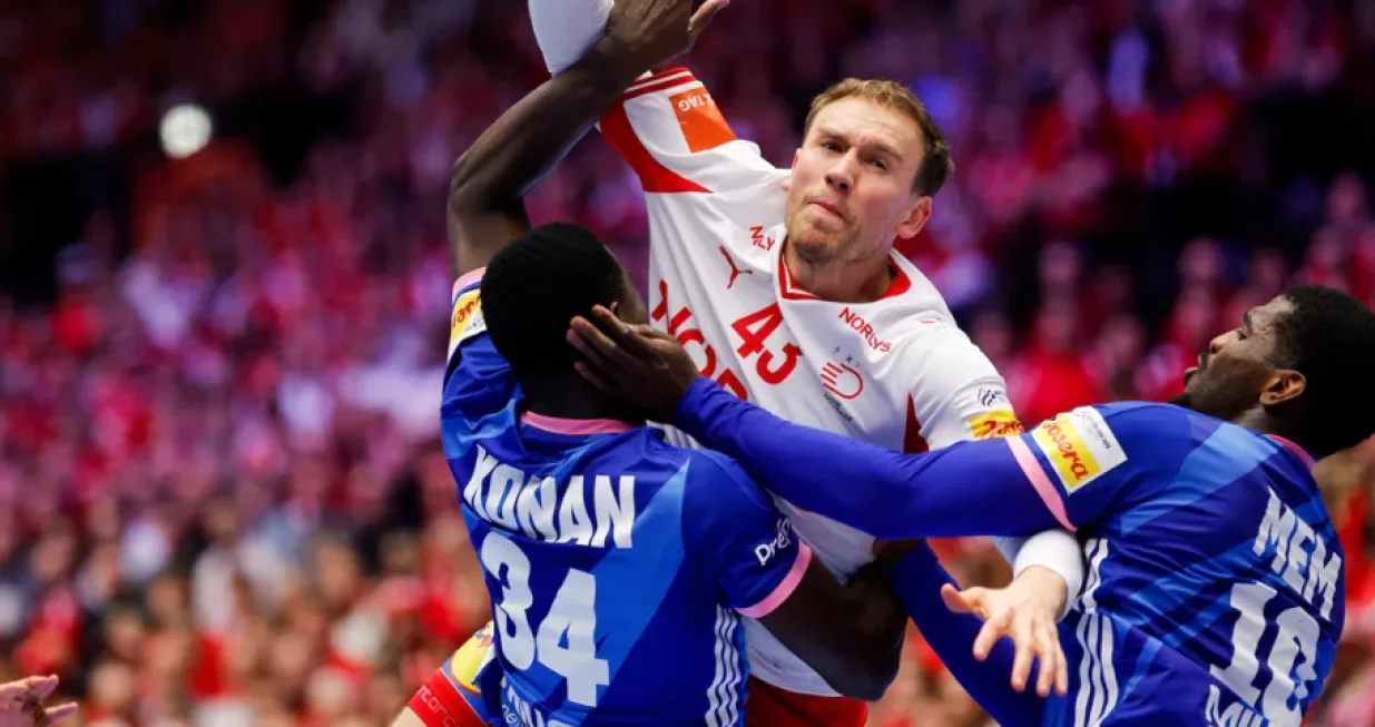 Detalj sa utakmice Danska - Francuska/Foto: 