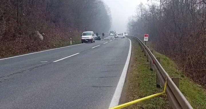 Za vrijeme uviđaja saobraćaj bio obustavljen/Viber//