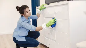 Brzo i jednostavno/Free Pik