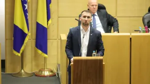 adnan delić/Senad Gubelić