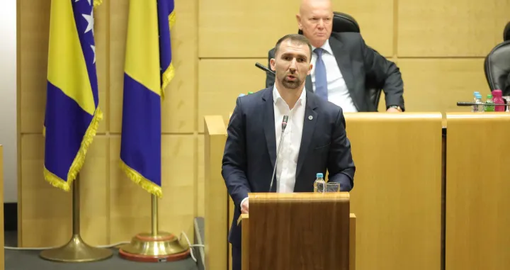 adnan delić/Senad Gubelić