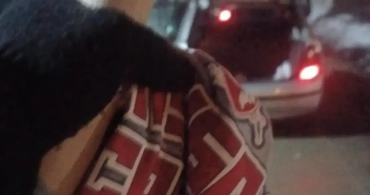 Torcida sa oduzetim rekvizitom Delija/Facebook/Foto: 