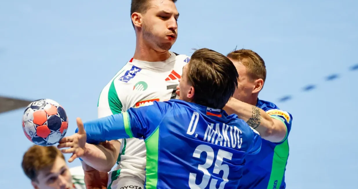 Detalj sa utakmice Slovenija - Mađarska/Foto: 