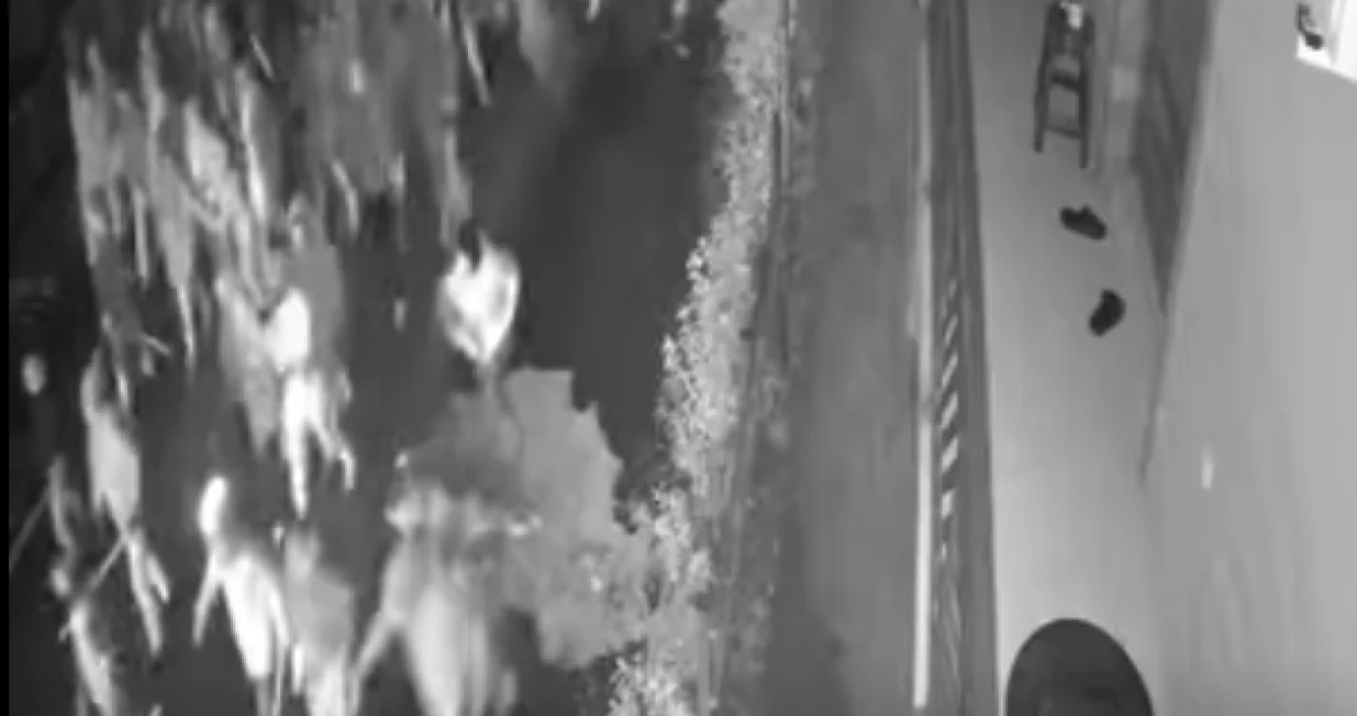 FOTO: Screenshot/Foto: 