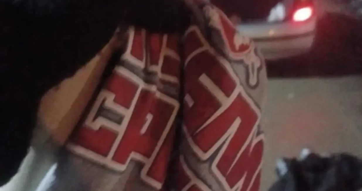 Torcida sa oduzetim rekvizitom Delija/Facebook/Foto: 