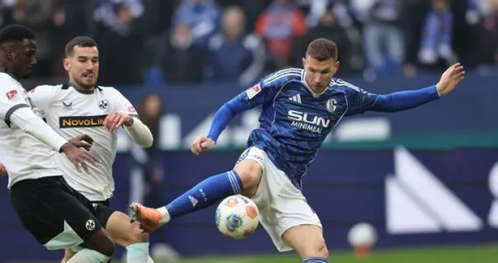 Džeko debitovao za Schalke i odmah pokazao klasu (FOTO: X)/Foto: 