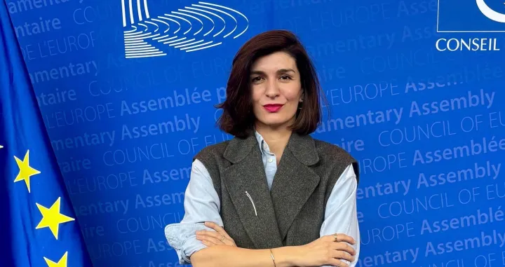 Sabina Ćudić, Vijeće Evrope//