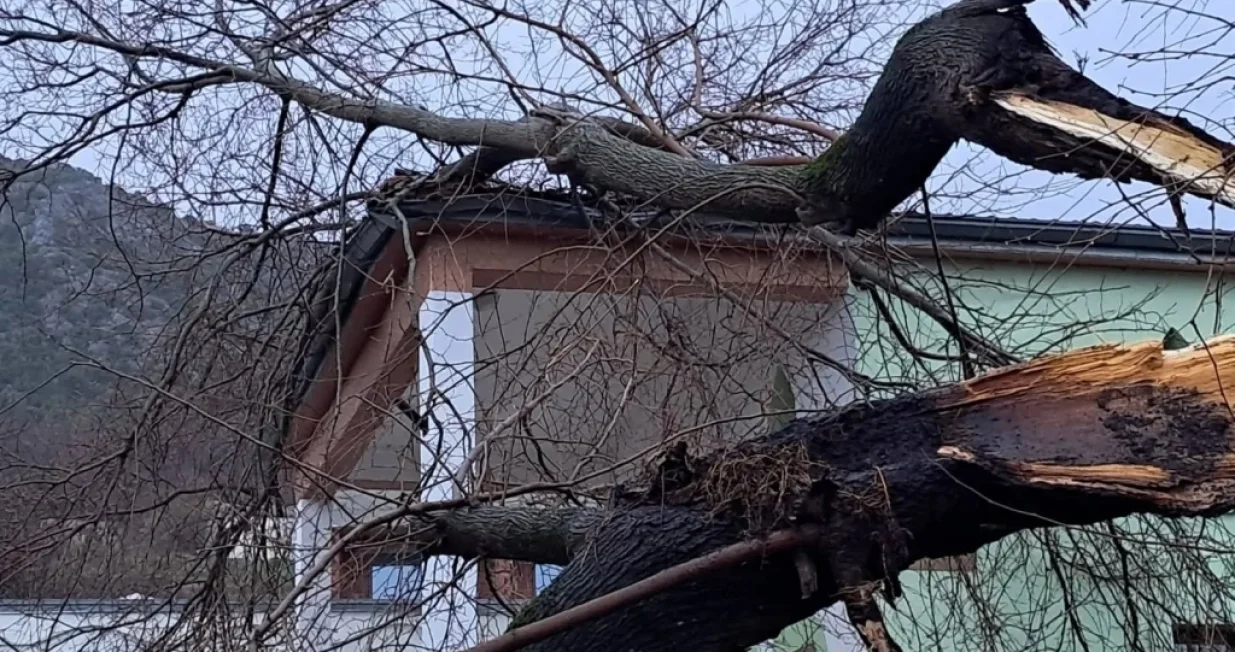 U Ljubu&scaron;kom je stablo palo na objekat Medžlisa IZBiH/