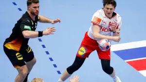 Detalj sa utakmice Njemačka - Danska/Foto: 