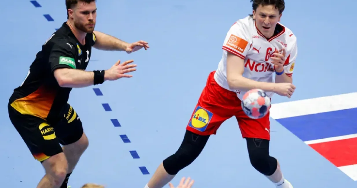 Detalj sa utakmice Njemačka - Danska/Foto: 