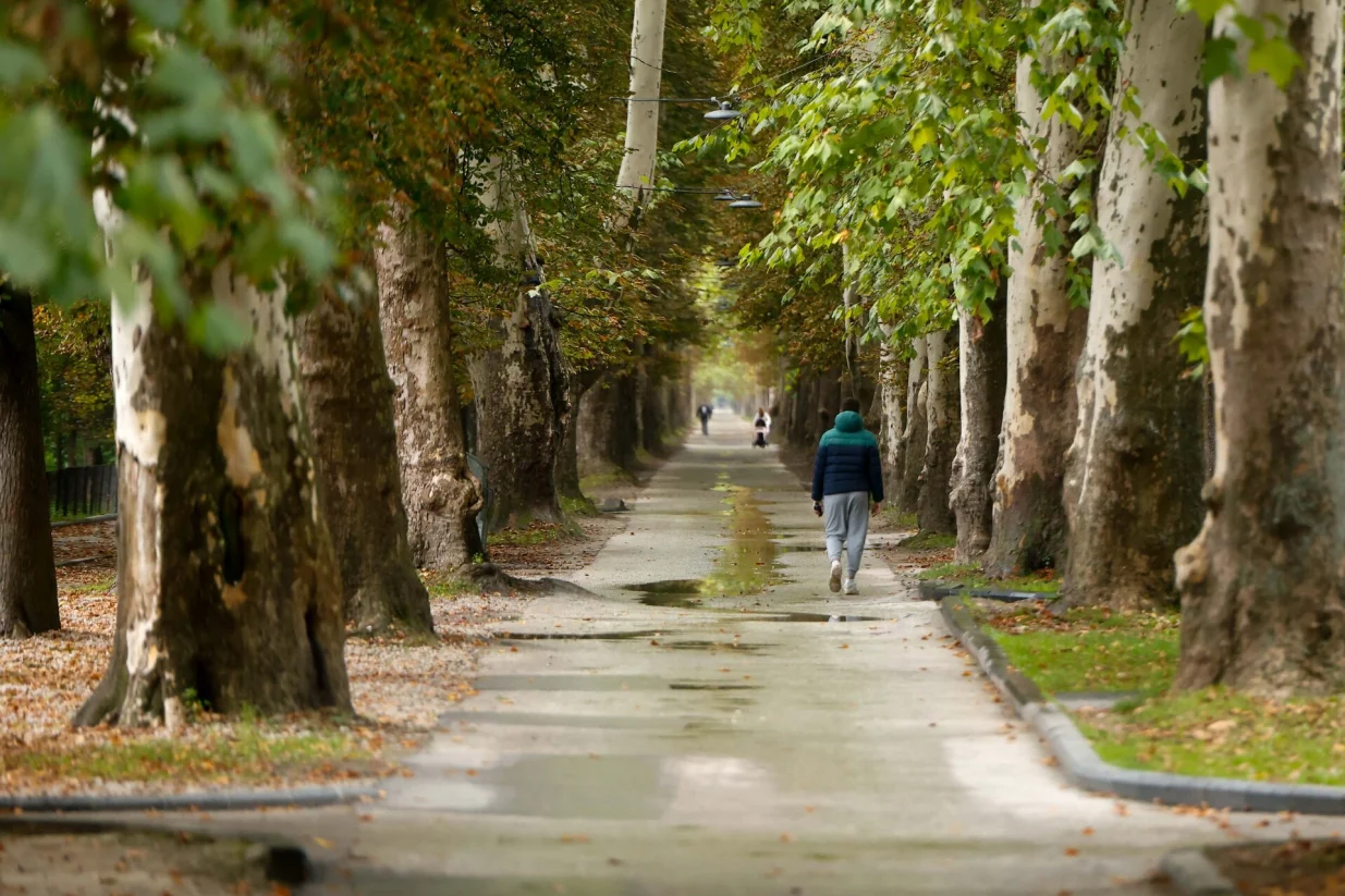 Hladno vrijeme jesen Aleja/Damir Deljo