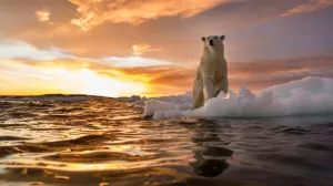 Rekordno zagrijavanje kao jasan signal klimatske krize/ Paul Souders/