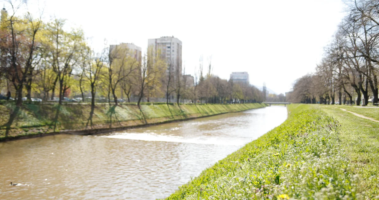 Proljeće ilustracije/Damir Deljo