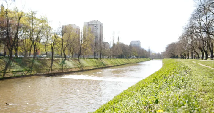 Proljeće ilustracije/Damir Deljo