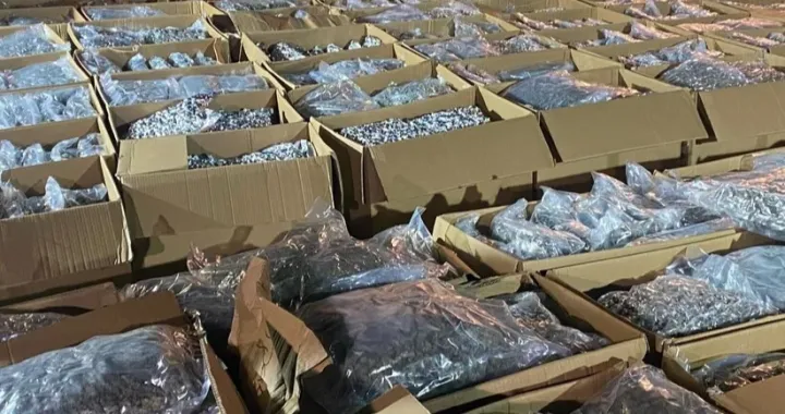 Velika zapljena/Telegraf.rs/