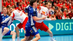 Detalj sa utakmice Danska Island/Foto: 