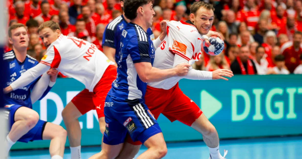 Detalj sa utakmice Danska Island/Foto: 