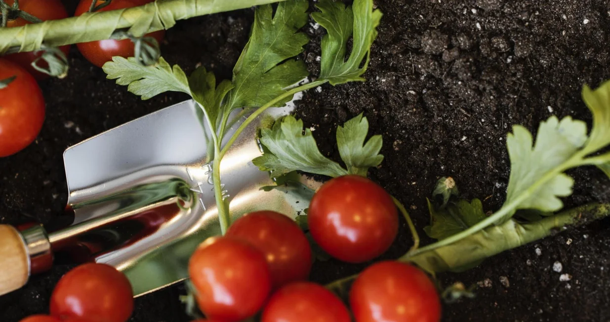 Poslu&scaron;ajte savjet stručnjaka/Free Pik