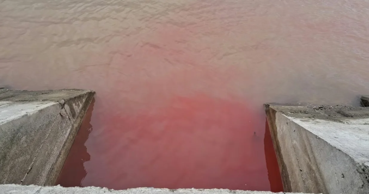 Pocrvenio Dunav u Beogradu/