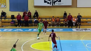 Detalj sa utakmice/Foto: 