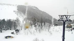 Velika tragedija/Livemap//