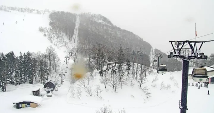 Velika tragedija/Livemap//