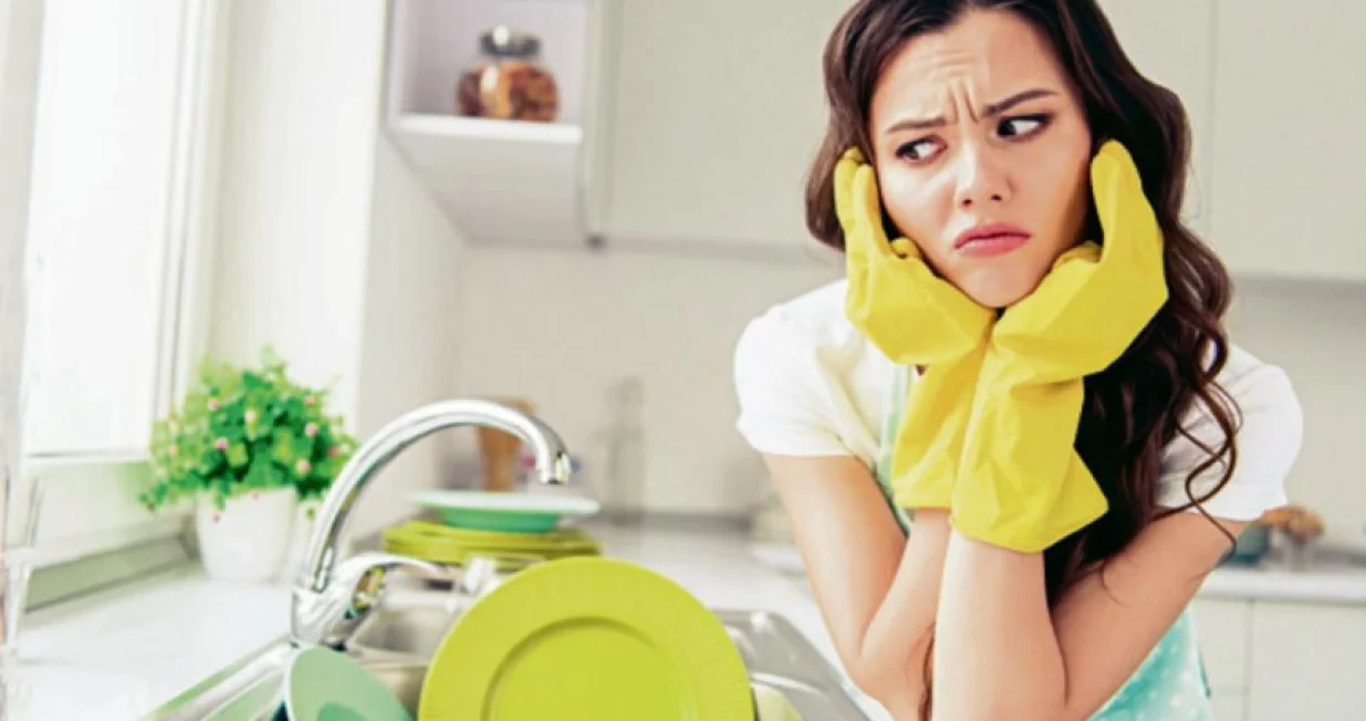 Kućanski poslovi, tanjiri, pranje suđa, či&scaron;ćenje, generalka/Dru&scaron;tvene Mreže