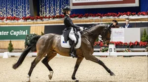 Ema Emina Nefić, mlada dresurna jahačica/