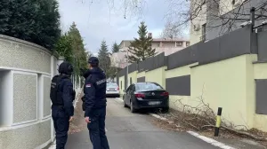 Jake policijske snage na terenu/Telegraf.rs/