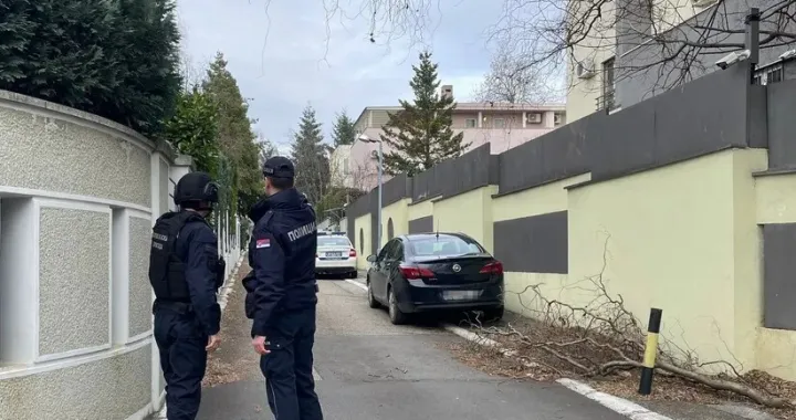 Jake policijske snage na terenu/Telegraf.rs/