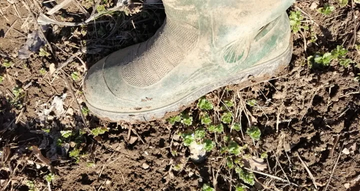 Uz dobre čizme i kabanicu nema ki&scaron;e/