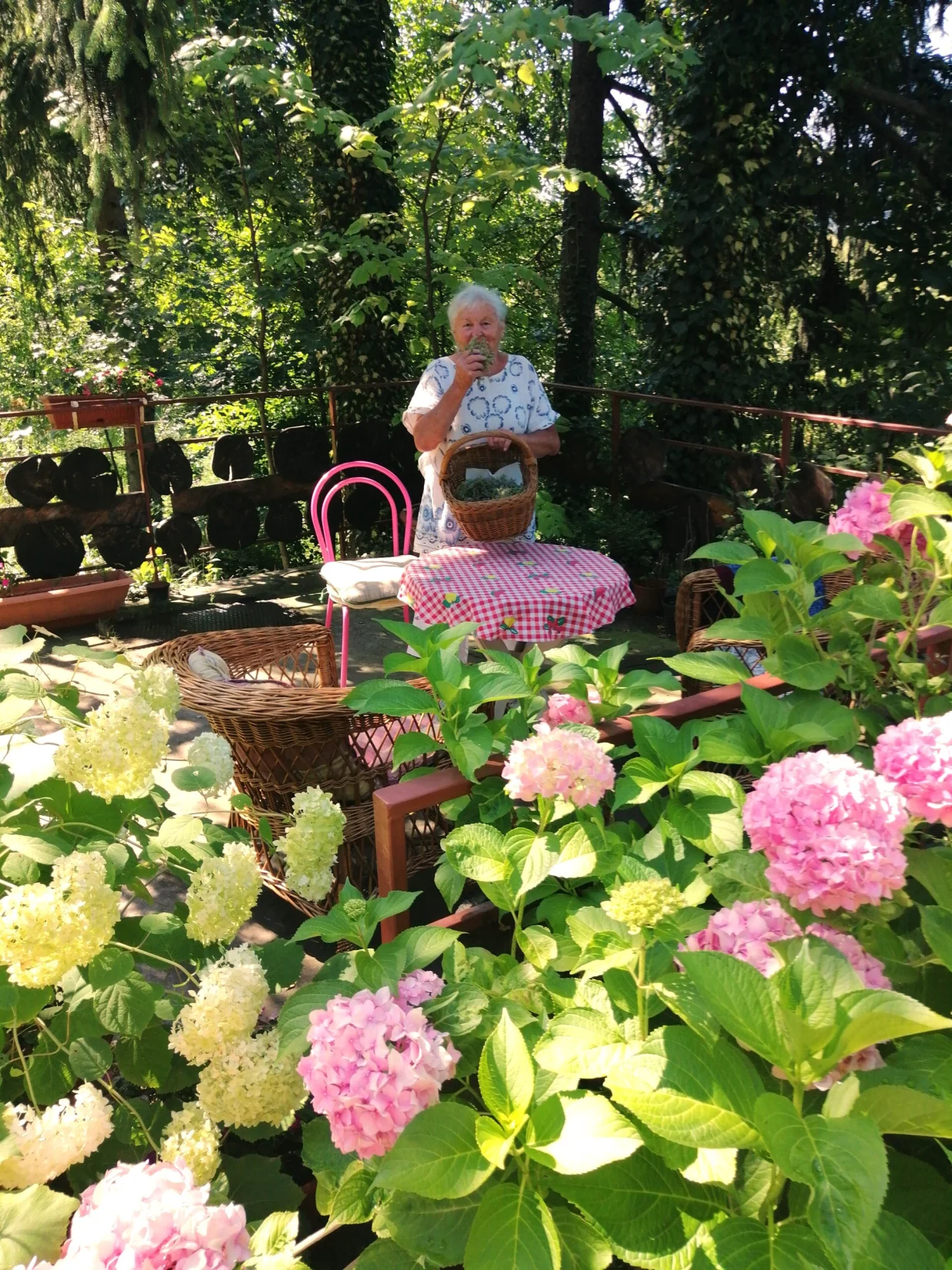 Najljep&scaron;e je među mirisnim cvijećem/