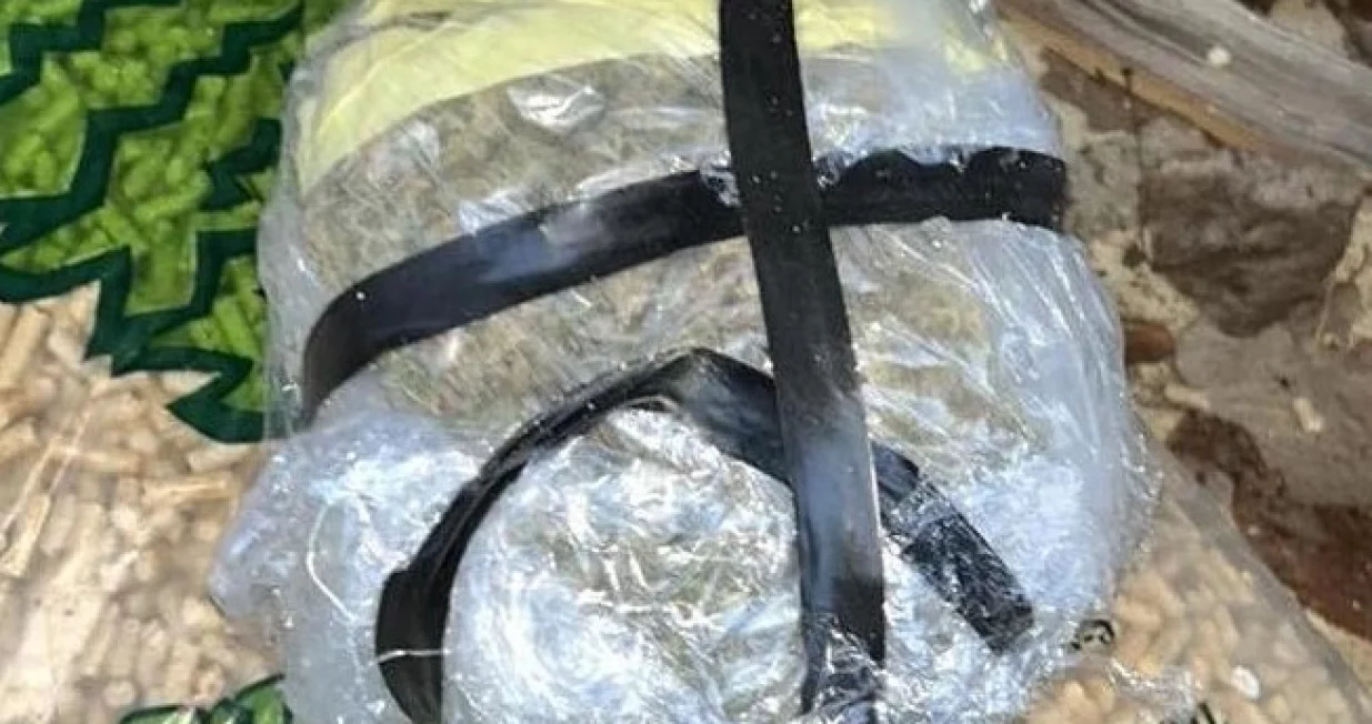 Oduzeta droga/MUP TK/