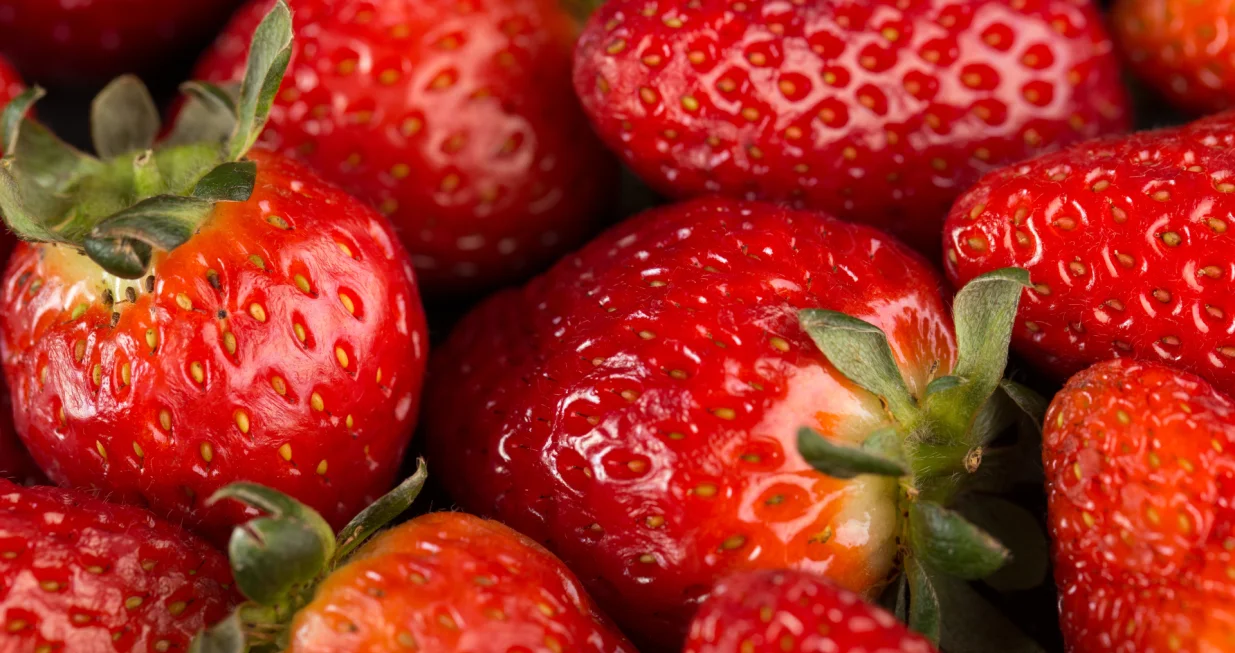 Peteljke od jagoda liječe vi&scaron;e nego &scaron;to mislite/Freepik