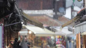 kiša, pljusak/Senad Gubelić