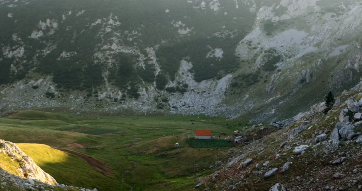 planina Zelengora/Muhamed Tunović