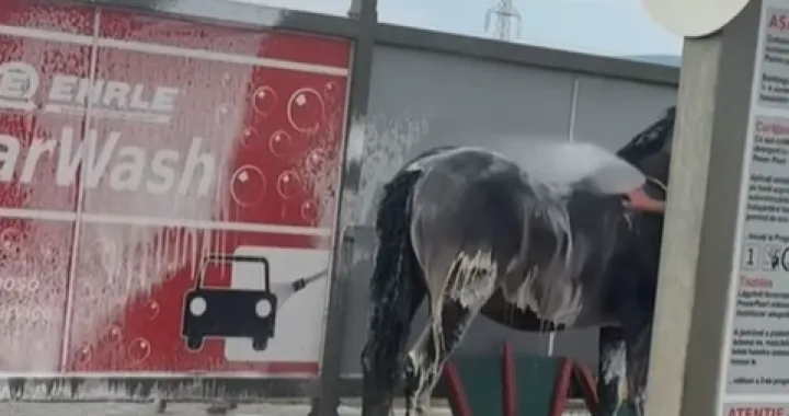 Video je izazvao pometnju/Facebook