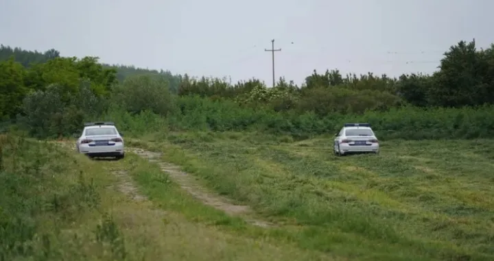 Uznemirujući prizor/Telegraf.rs//