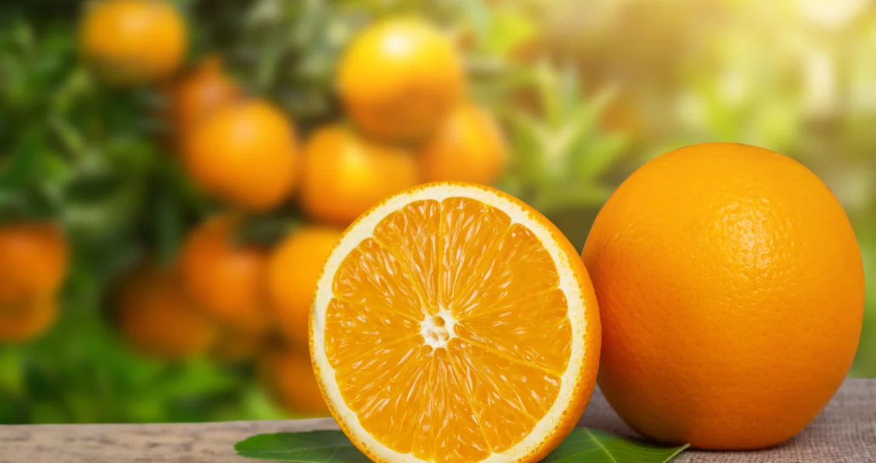 Narandže, citrusi/Freepik