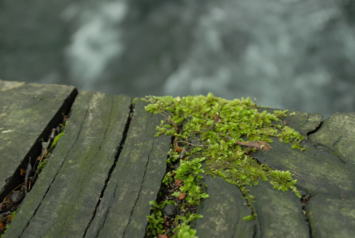 NP Una u ti&scaron;ini/