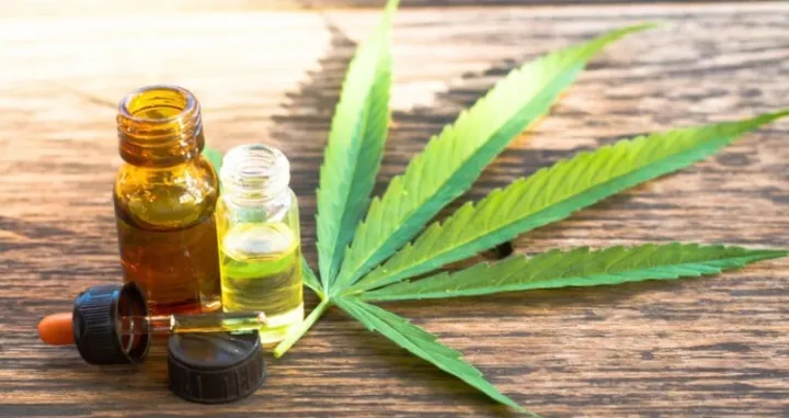 kanabis ilustracija/