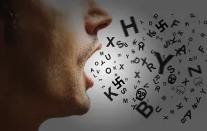 &Scaron;ehić govori o tome kako se islamofobija i govor mržnje u političkom prostoru koriste kao sredstvo destabilizacije države, uz poseban fokus na djelovanje Milorad Dodik i dugogodi&scaron;nje tolerisanje takvog diskursa. On upozorava da istorija pokazuje kako nasilje uvijek počinje jezikom i dehumanizacijom, te kritikuje pasivnost domaćih političkih struktura koje se deklarativno pozivaju na antifa&scaron;izam, ali ne poduzimaju konkretne poteze. Zaključno, tekst poručuje da takva politika dovodi do opasnog relativiziranja pro&scaron;lih zločina i ponovnog stvaranja narativa koji prijeti opstanku države i njenim građanima./Benjamin Krnić