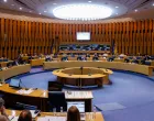 Sjednica Doma naroda Parlamentarne skup&scaron;tine Bosne i Hercegovine/Damir Deljo