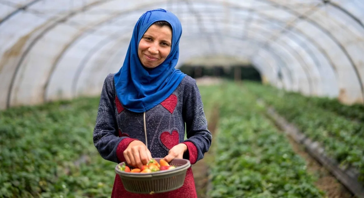 NADA UMIRE POSLJEDNJA: Život je jači od teske stvarnosti. To je opsta slika danasnjeg Libana/