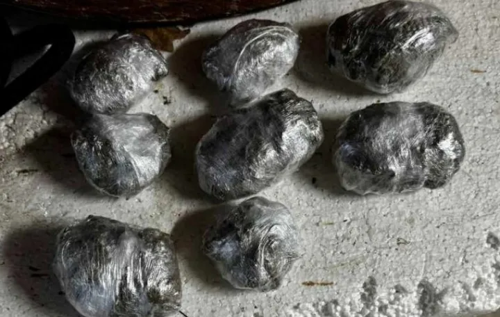 Oduzeti narkotici i droga/MUP TK/