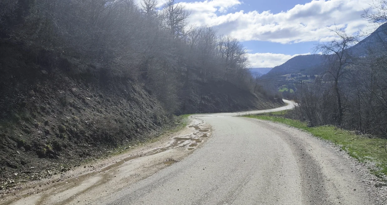 Cesta &Scaron;ćepan polje/